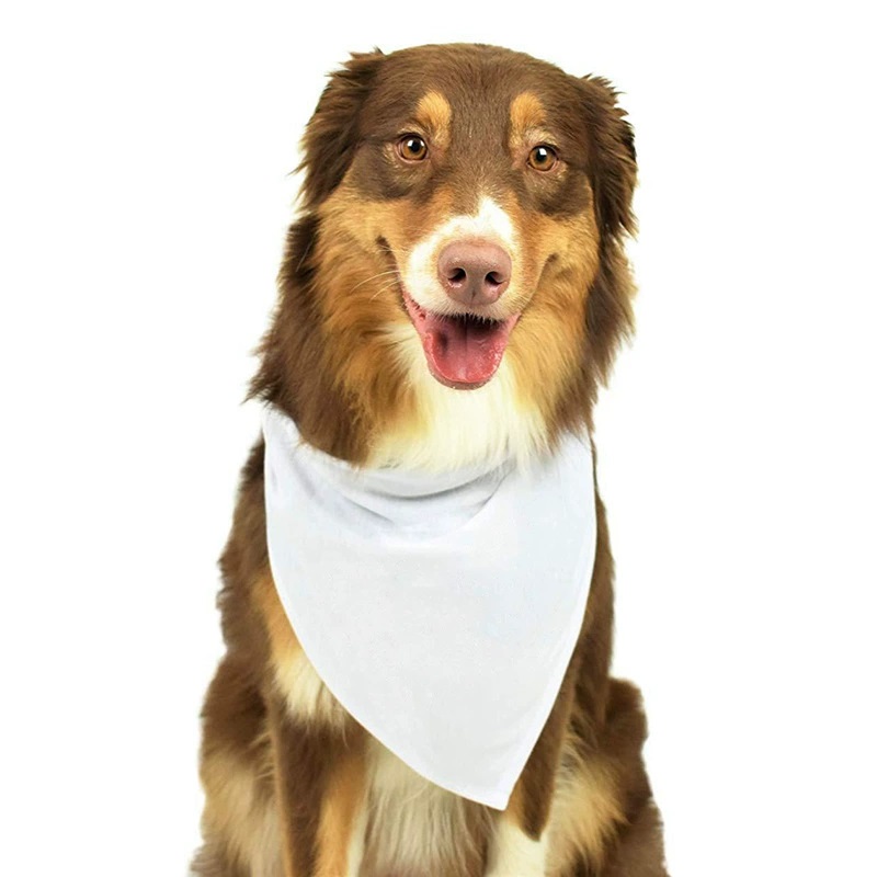 30pcs Bandana Anjing Polos Put - Bandana Blank White ulasan dan harga